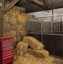 De wiet onder een geheim luik, de kwekers achter het hooi