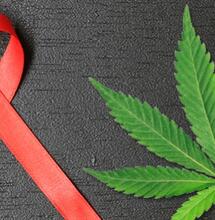 Cannabis per alleviare il dolore da HIV