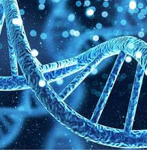 Un grower relaxé et indemnisé après avoir refusé un prélèvement ADN