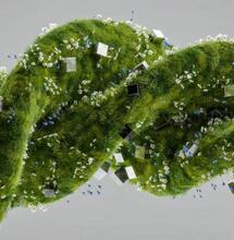 Fumer régulièrement du cannabis modifie-t-il nos gènes ?