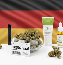 CBD Deutschland 2025 – Legal kaufen, Blüten & Produkte 