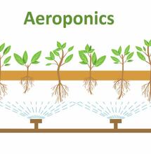 Aeroponics 101