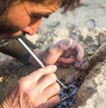 Le cannabis afghan, un héritage culturel et génétique