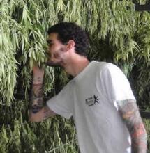 Albanie, le nouveau grenier de l'Europe ?