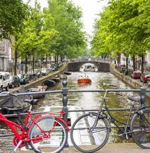 Une étude sur le cannabis aux Pays-Bas