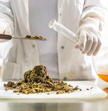 Análisis químico del Cannabis