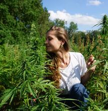 Cannabis e moda: “Luxury fashion is getting higher”