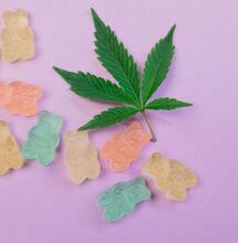 Are edibles damaging our mental health