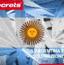 L’Argentina regola l’accesso alla cannabis terapeutica