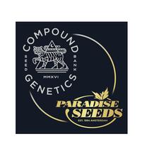 Paradise Seeds en asociación exclusiva con Compound Genetics
