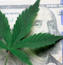 Evento: Asociación Europea de Cáñamo Industrial