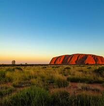 Fast die Hälfte der Australier für eine Legalisierung von Cannabis