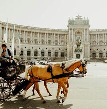 Österreich muss seine Cannabis-Politik modernisieren