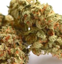 Auto Colorado Cookies