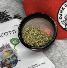 A popular indica dominant hybrid: Biscotti 