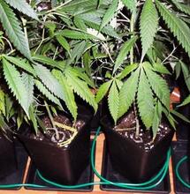 Combatir el frío en indoor