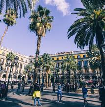 Canna French THC Cup 2022 à Barcelone