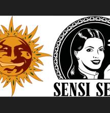 Sensi Seeds et Barney's Farm fusionnent !