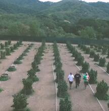 Marijuana Mania, la série documentaire de Berner