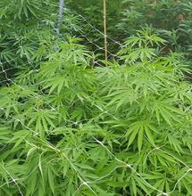 Culture outdoor en France : nos meilleurs reportages 