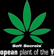 Głosuj teraz na europejską roślinę roku!!!