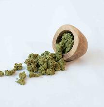 Bosnia and Herzegovina legalise cannabis for medical use