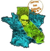 Un French Grower aux USA