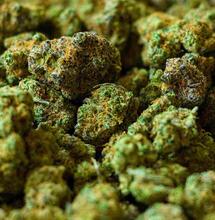 Brandbrief: coffeeshops willen extra fase wietexperiment