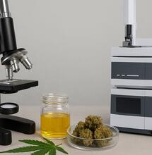 Brazylijscy naukowcy opracowali nową, bardzo czułą metodę analizy kannabinoidów