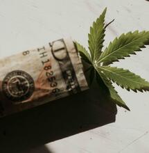 BrewDog Acquired by US Cannabis Firm Tilray for £33 Million