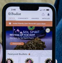 Budist: platforma pro recenze konopí