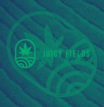 Były dyrektor generalny Juicy Fields twierdzi, że jest niewinny