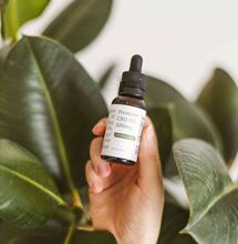 CBD May Protect the Brain from Toxic Acrylamide: New Research