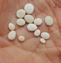 CBD hilft gegen Methamphetamin-Sucht