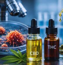 CBD i THC pod lupą naukowców. Nowe dane z badań nad rakiem jajnika