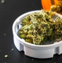¿Puede el CBD controlar los ataques de pánico?