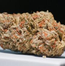 CBD może chronić mózg przed toksycznym akrylamidem. Nowe badania naukowe