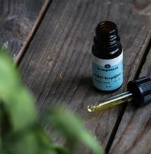 CBD para la Ansiedad: Nuevo Estudio Revela Cómo Funciona