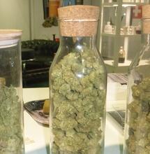 Le CBD : un cannabinoïde légal