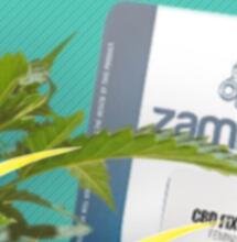 CBD Fix Auto de Zamnesia
