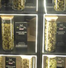 Une pétition contre les nouvelles taxes sur le CBD