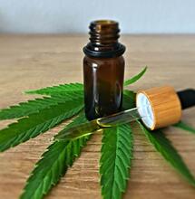 CBD Content Do Not Reduce High, Says Research