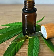 Laut Forschung reduziert CBD-Gehalt den Rausch nicht