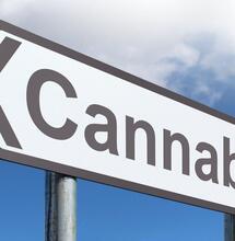 CBG: comprueban alto poder antibacterial de la marihuana