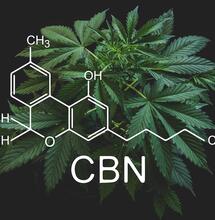 Le CBN est-il le nouveau cannnabinoïde tendance ?