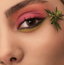 Herbarium: el lado bello del cannabis