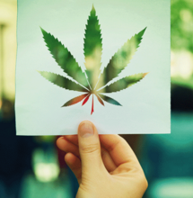 Las movilizaciones en Chile para el asunto del cannabis