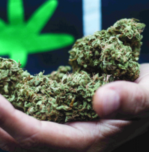 Brasil reglamenta cannabis medicinal y llueven críticas