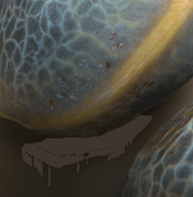 special o seminkach (3)