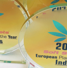 La Plante de l'année 2019 de Soft Secrets